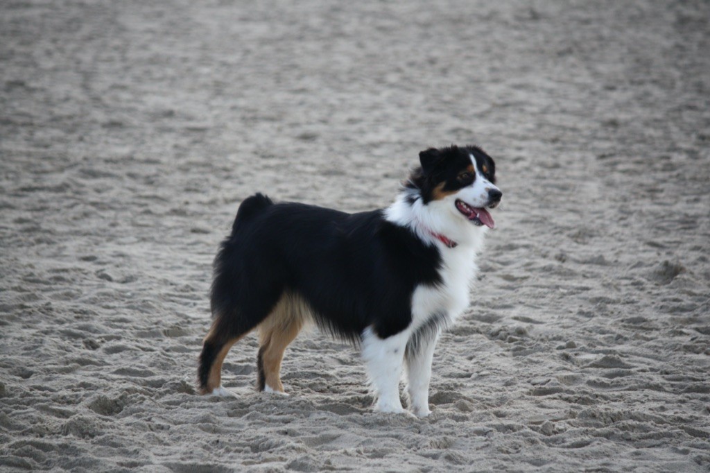 NAHIA à la plage