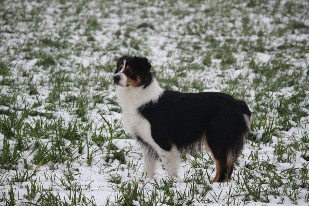 NAHIA dans la neige